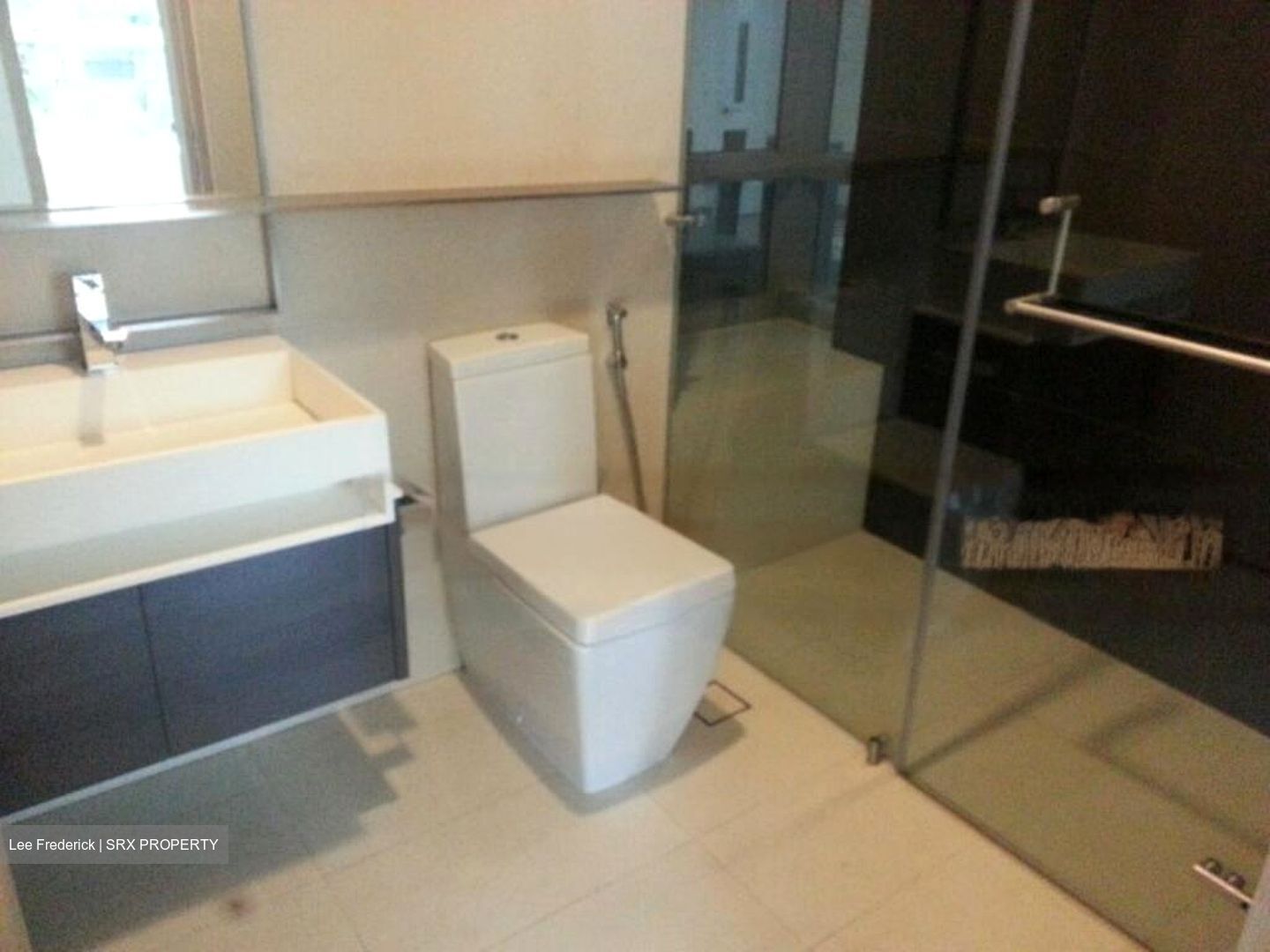 SilverSea (D15), Condominium #473066101